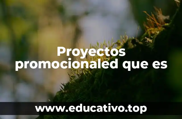 Proyectos promocionaled que es