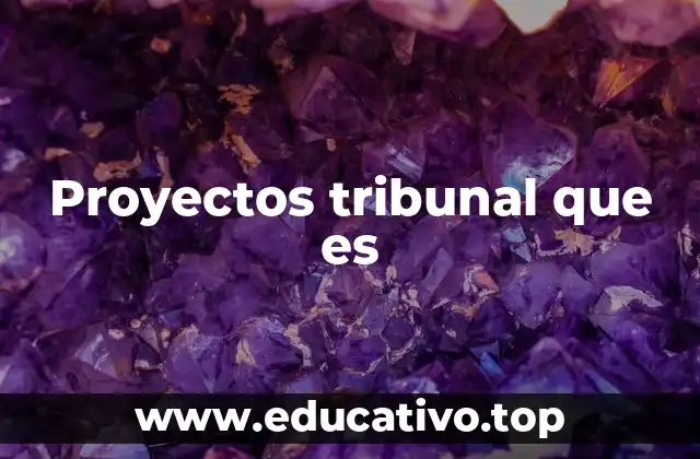 Proyectos tribunal que es