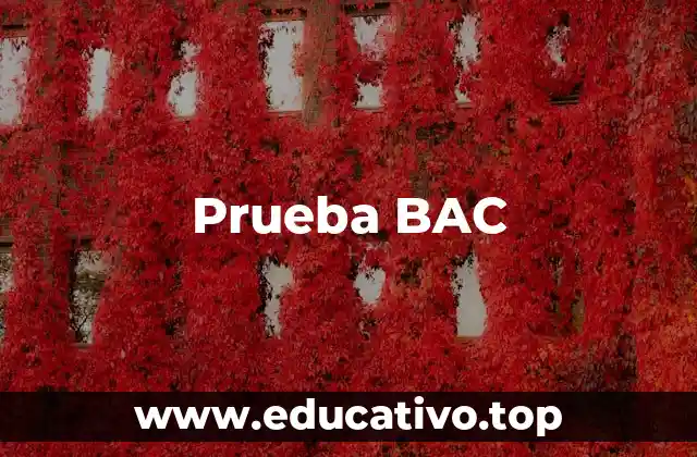 Prueba BAC