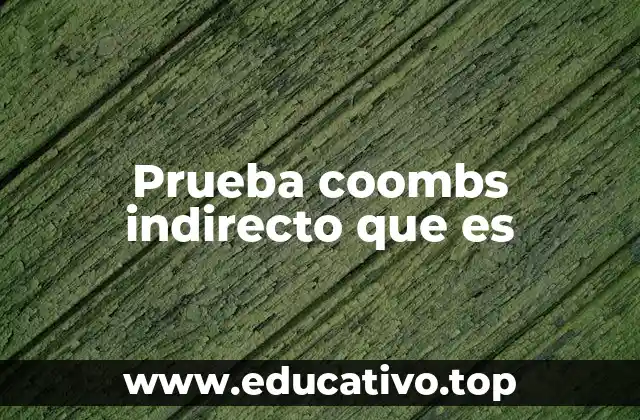 Prueba coombs indirecto que es