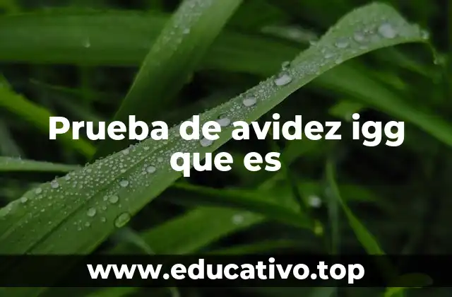 Prueba de avidez igg que es