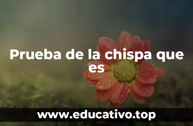 La importancia de las pruebas de chispa en la educación