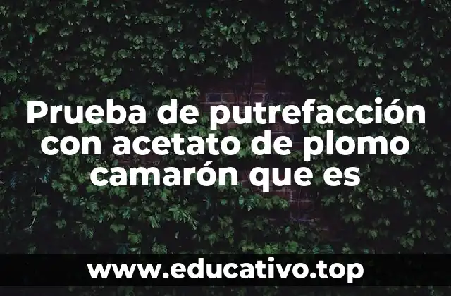 Prueba de putrefacción con acetato de plomo camarón que es
