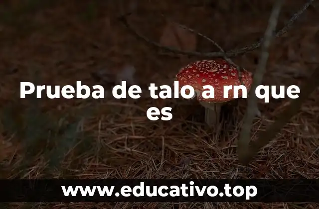 Prueba de talo a rn que es