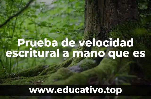 La importancia de la escritura a mano en contextos modernos