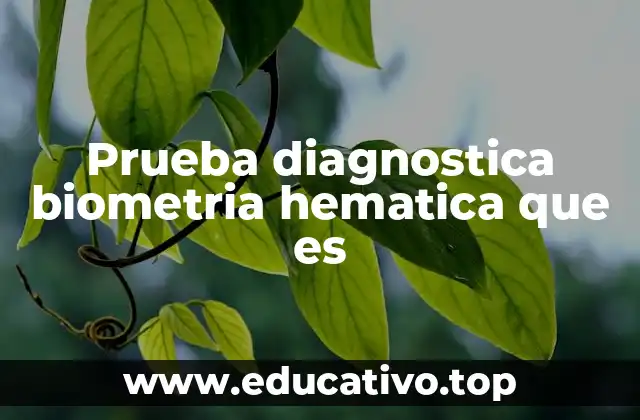 La importancia de analizar la sangre en la salud general