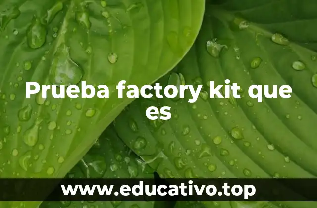 Prueba factory kit que es