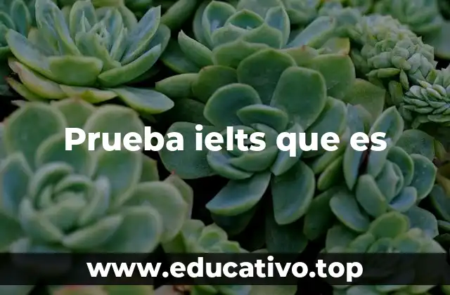 ¿Cómo se estructura la prueba IELTS?