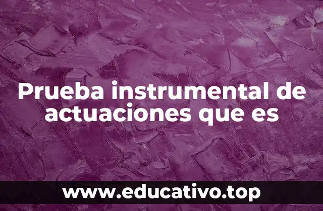 Prueba instrumental de actuaciones que es