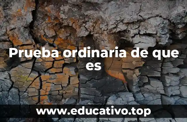 Prueba ordinaria de que es