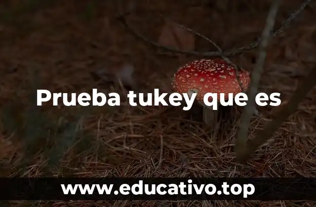 Prueba tukey que es