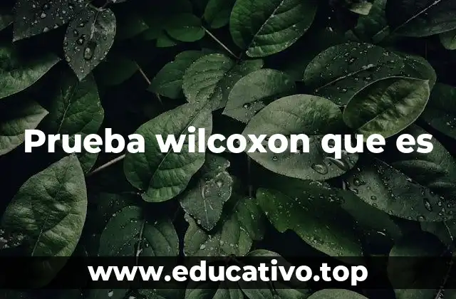 Prueba wilcoxon que es