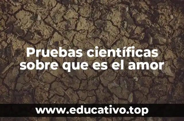 El amor a través de la lente de la neurociencia