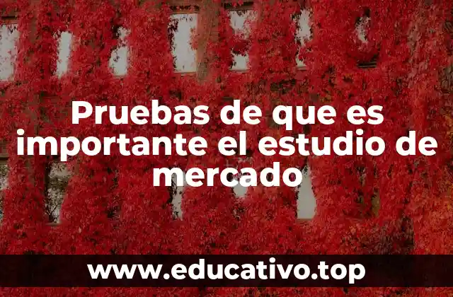 Pruebas de que es importante el estudio de mercado
