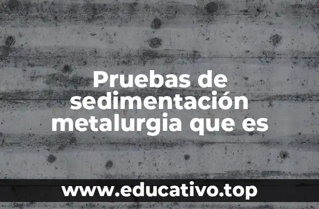 Pruebas de sedimentación metalurgia que es