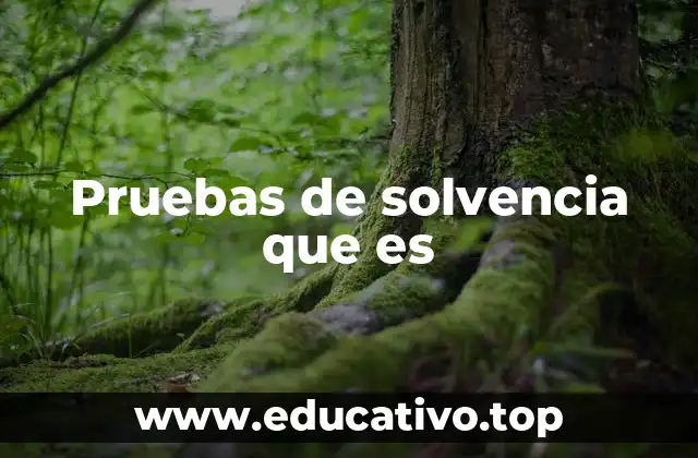 Pruebas de solvencia que es