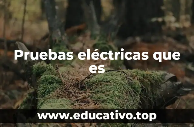Pruebas eléctricas que es
