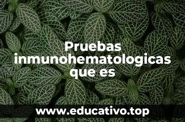Pruebas inmunohematologicas que es