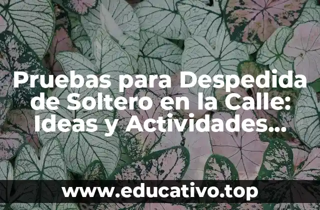 Pruebas para Despedida de Soltero en la Calle: Ideas y Actividades Divertidas