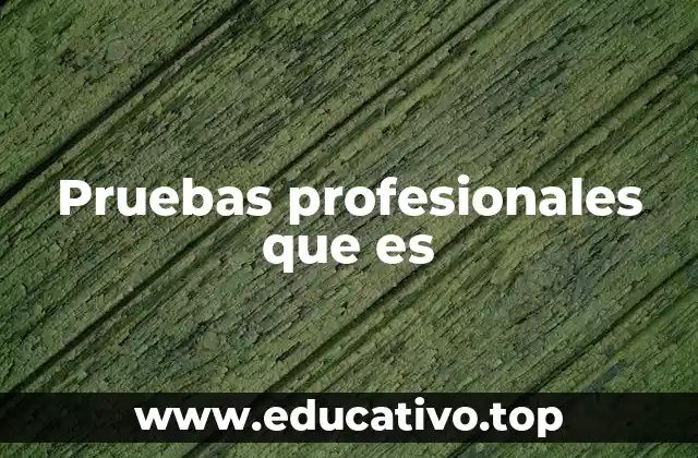 Pruebas profesionales que es