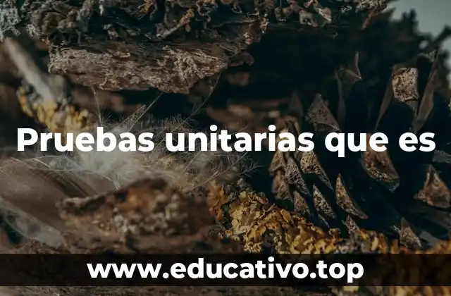 Pruebas unitarias que es