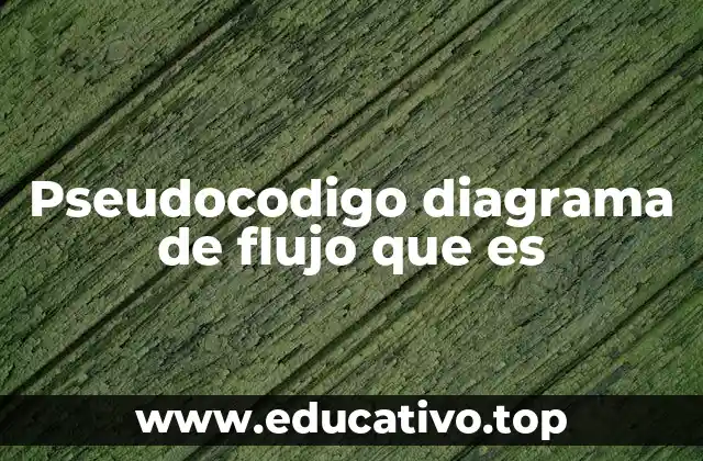 Pseudocodigo diagrama de flujo que es