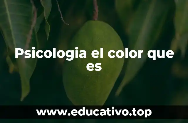 Psicologia el color que es