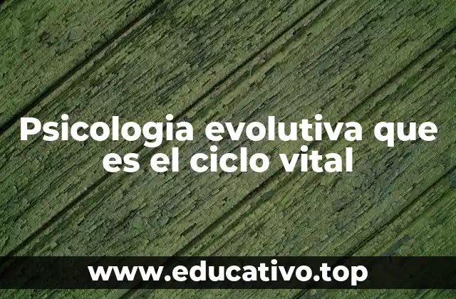 Psicologia evolutiva que es el ciclo vital