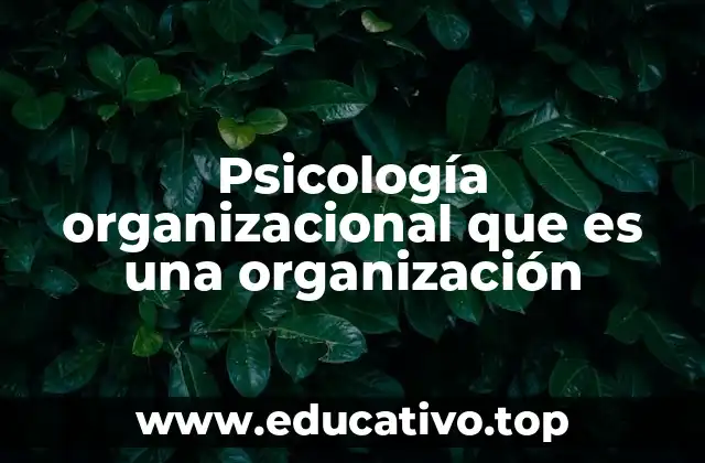 Psicología organizacional que es una organización