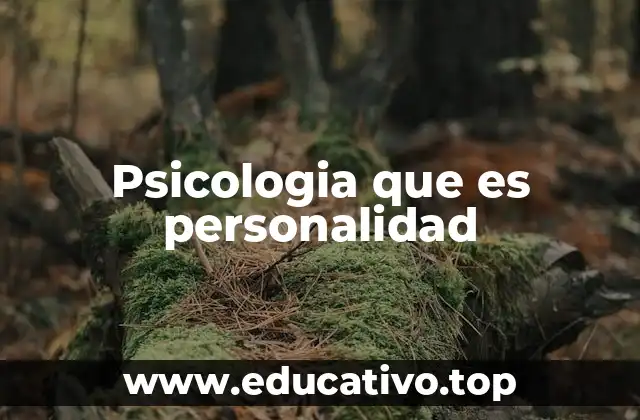 Psicologia que es personalidad