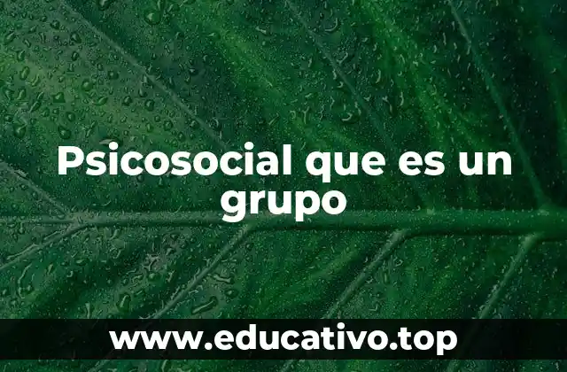 Psicosocial que es un grupo