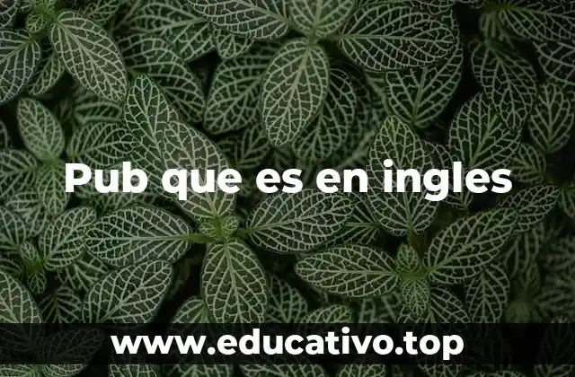 Pub que es en ingles