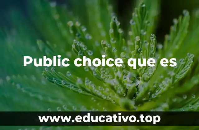 Public choice que es