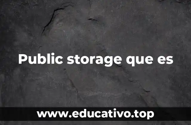 Public storage que es