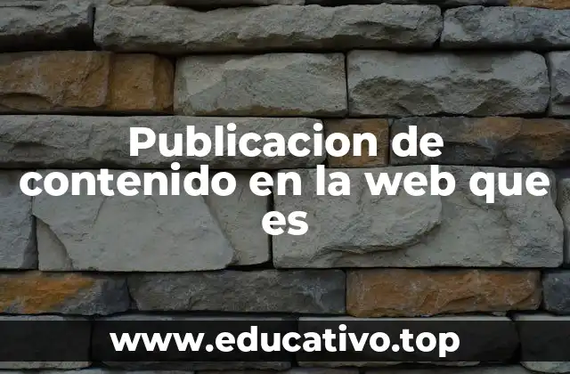 Publicacion de contenido en la web que es