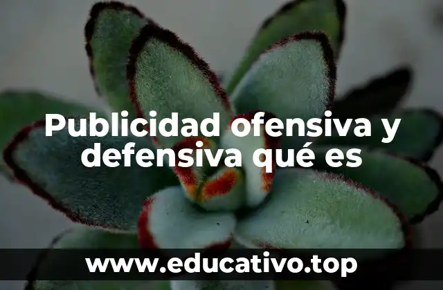 Publicidad ofensiva y defensiva qué es