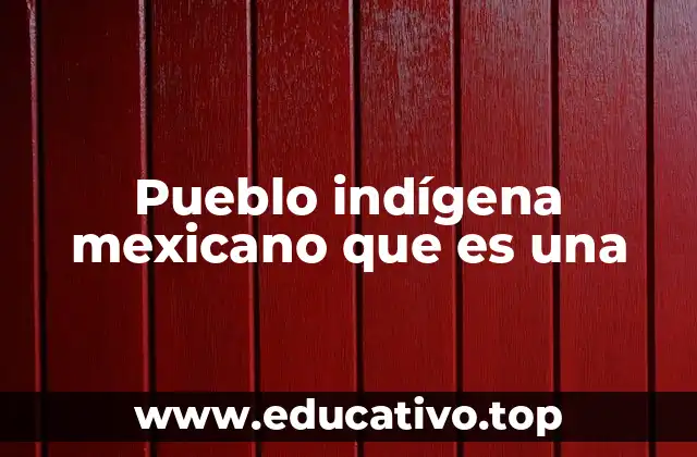 Pueblo indígena mexicano que es una