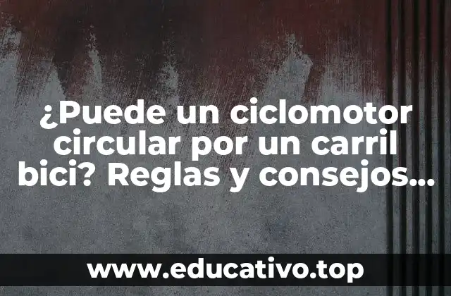 ¿Puede un ciclomotor circular por un carril bici? Reglas y consejos para circular con seguridad
