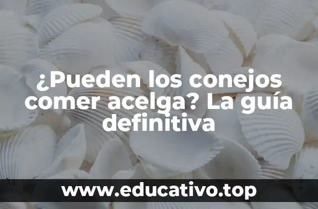 ¿Pueden los conejos comer acelga? La guía definitiva