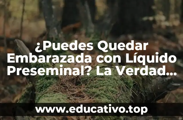 ¿Puedes Quedar Embarazada con Líquido Preseminal? La Verdad Revealed
