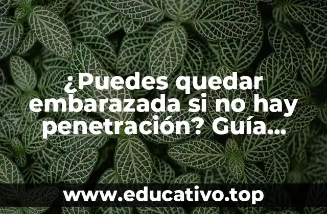 ¿Puedes quedar embarazada si no hay penetración? Guía completa