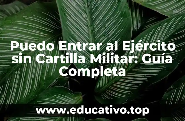 Puedo Entrar al Ejército sin Cartilla Militar: Guía Completa