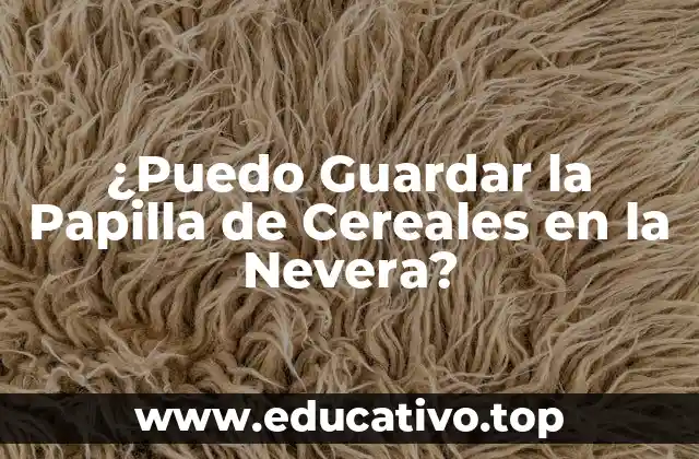 ¿Puedo Guardar la Papilla de Cereales en la Nevera?