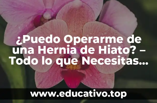 ¿Puedo Operarme de una Hernia de Hiato? – Todo lo que Necesitas Saber