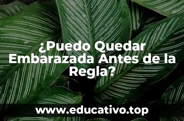 ¿Puedo Quedar Embarazada Antes de la Regla?