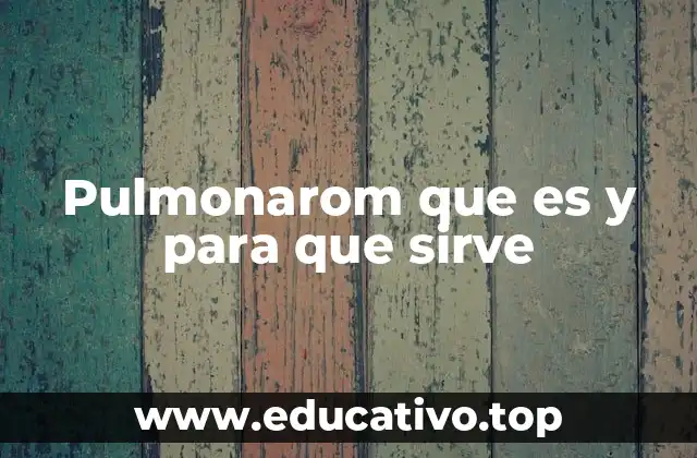 El papel de los aceites esenciales en el alivio respiratorio