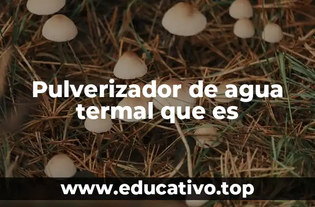 Pulverizador de agua termal que es