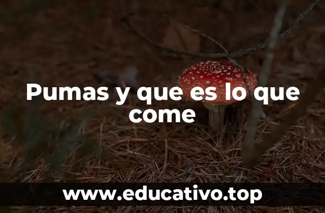 Pumas y que es lo que come