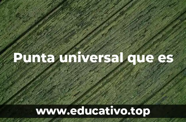Punta universal que es