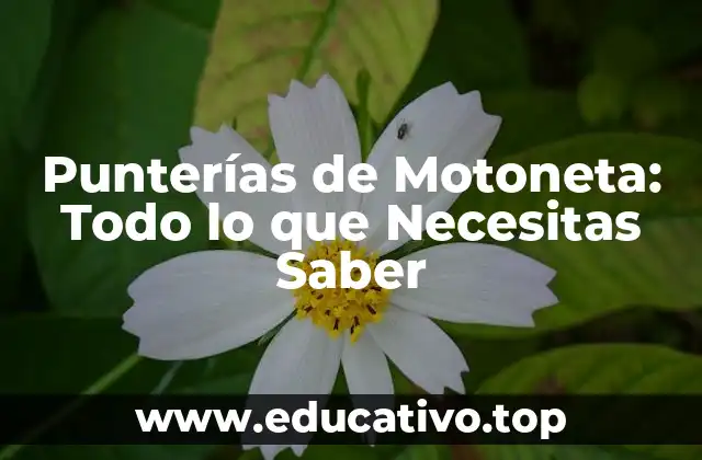 Punterías de Motoneta: Todo lo que Necesitas Saber